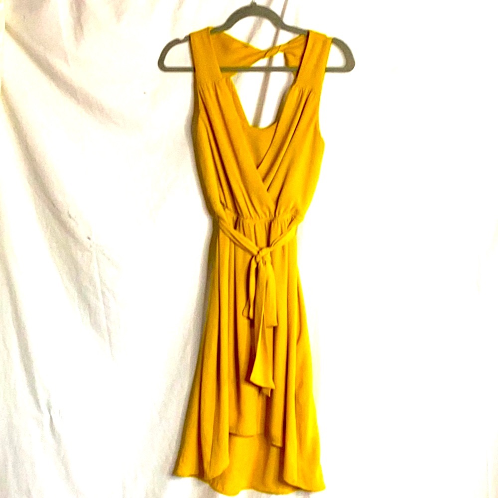 Express beautiful mustard yellow flowy knee length dress XS